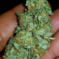 PuffNpipez