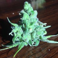cannabidiol27