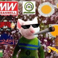 StuartLittle