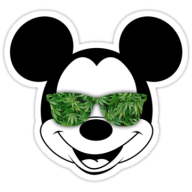 jaytrav