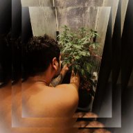 Pedro Mello