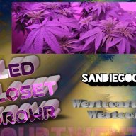 SdMEDgrower