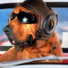 laservet