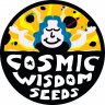 cosmicwisdom