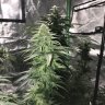 justblaze0402