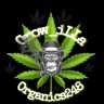 Grow_illa_Organics248