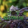 707seedbank