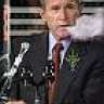bluntmuncher420