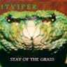 Pitviper