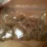 TREE WEED