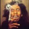 fried at 420