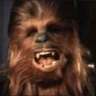 The Wookie