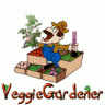 veggiegardener