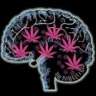weedmind