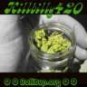 Hillbilly420