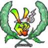 Cannabis Krew 420