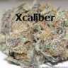 Xcaliber
