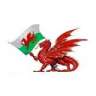 welsh wizz