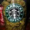 GreenFuel4TheRocket