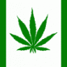 Herb Herbalist