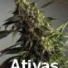 Ativas