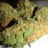mrthemanweed420