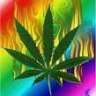 Smugglie Mcweed