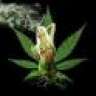 SmokeMe420