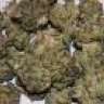 STONNEDSILLY420