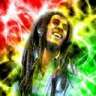 Daub Marley