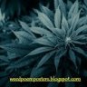 weedpoemposter