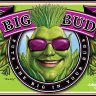 Bigbud78