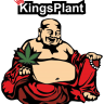 KingsPlant