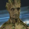 SourGroot