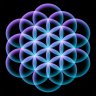 Flower of Life Organics