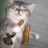 HighCat87