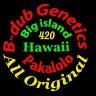 B-dub.808