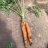 perfect_tree_farmacy