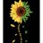 CultivationArt331