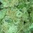 SuperWeedGro