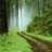 Green36