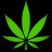DeeBee420