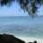carrisurf