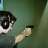 PatriotAct775
