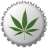 green4life
