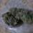 smokinandflowin