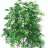 NewGrow420