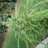 Mr.marley8o8