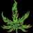 budsmokerz
