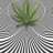 worble7